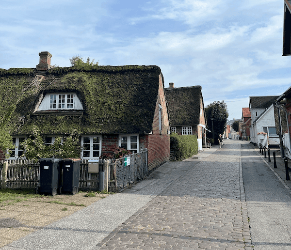 Parkovanie na ulici v dánskom meste